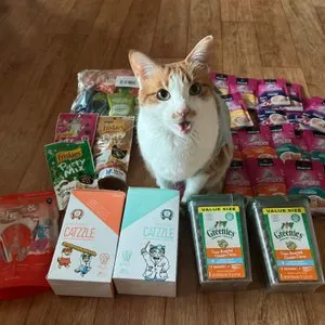 베스트 후기 이미지