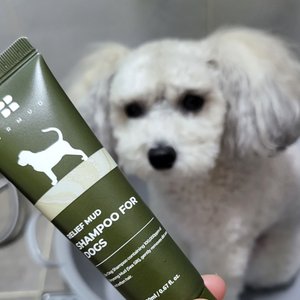베스트 후기 이미지
