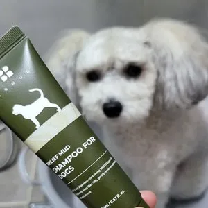 베스트 후기 이미지