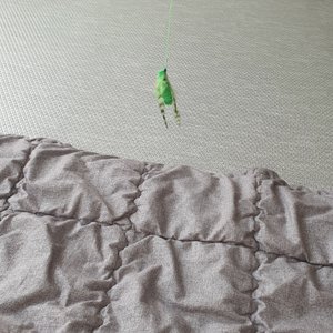베스트 후기 이미지