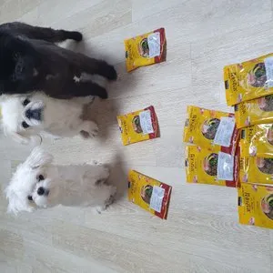 베스트 후기 이미지