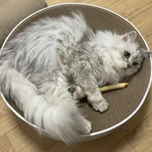 베스트 후기 이미지