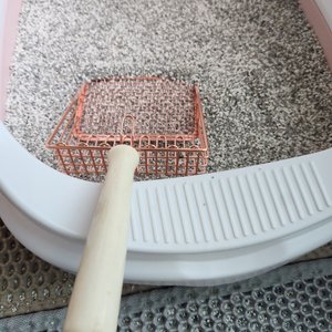 베스트 후기 이미지