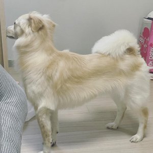 베스트 후기 이미지