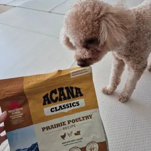 베스트 후기 이미지