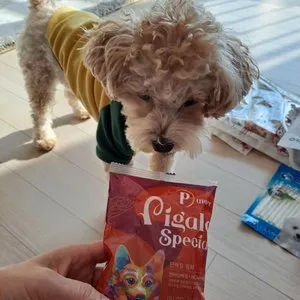 베스트 후기 이미지