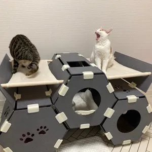 베스트 후기 이미지