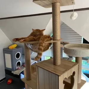 베스트 후기 이미지