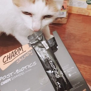 페피테일 참 포스트 플러스 연어 15개입 베스트 후기 이미지