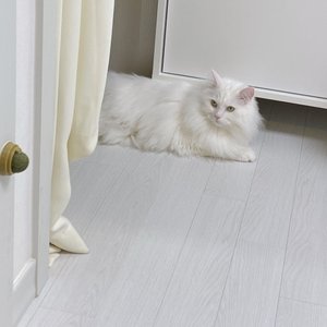 베스트 후기 이미지