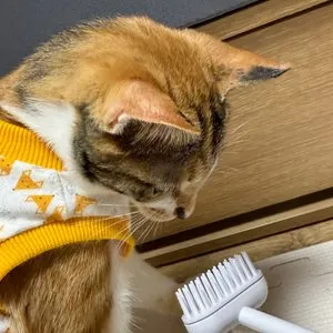 베스트 후기 이미지