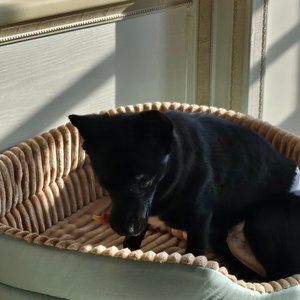 베스트 후기 이미지