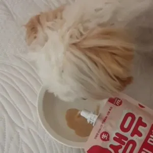 베스트 후기 이미지