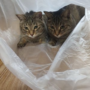 베스트 후기 이미지