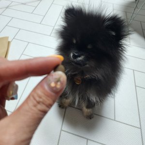 베스트 후기 이미지