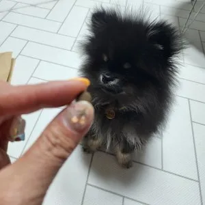 베스트 후기 이미지