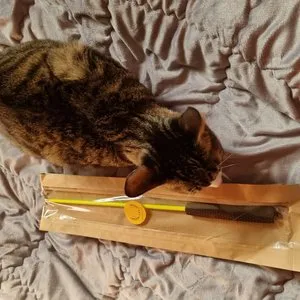 베스트 후기 이미지