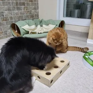 베스트 후기 이미지