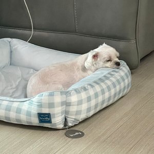 베스트 후기 이미지