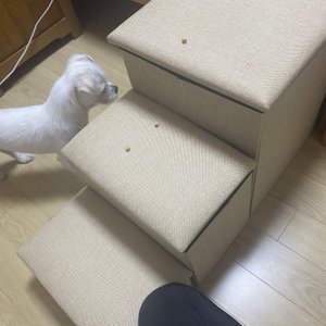 베스트 후기 이미지