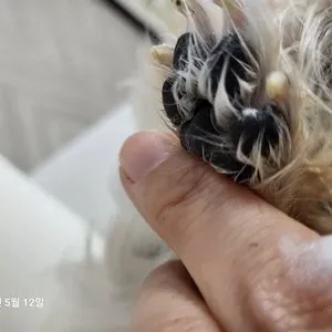 베스트 후기 이미지