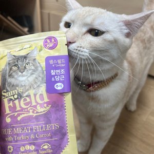 베스트 후기 이미지