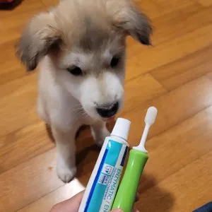 베스트 후기 이미지