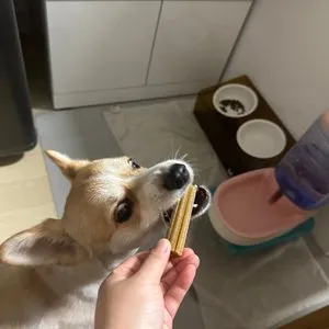 베스트 후기 이미지