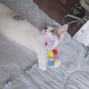 베스트 후기 이미지