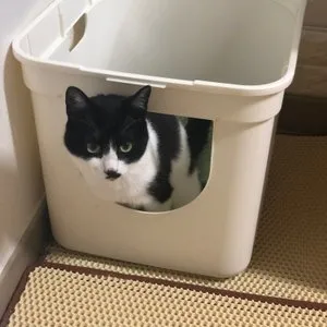 베스트 후기 이미지