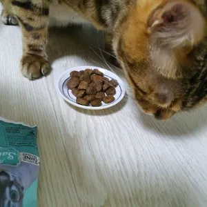 베스트 후기 이미지