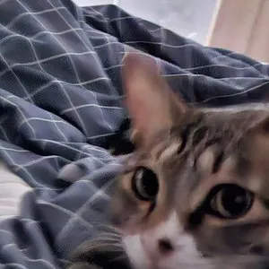 베스트 후기 이미지