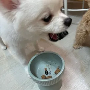 베스트 후기 이미지