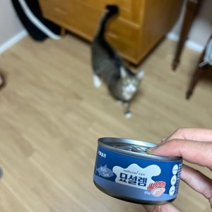 [수요특가] 페슬러 묘설렘 내추럴 캔 닭가슴살&참치 80g  베스트 후기 이미지