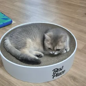 베스트 후기 이미지