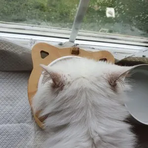 베스트 후기 이미지