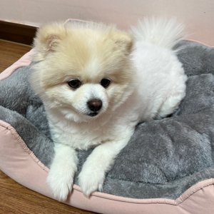베스트 후기 이미지