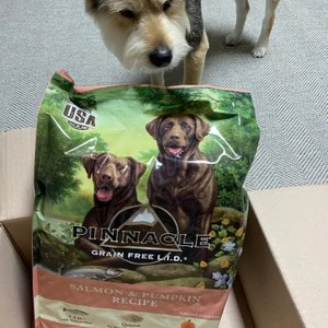 피너클 독 연어&펌킨 4.7kg 베스트 후기 이미지