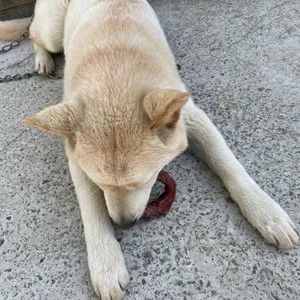 베스트 후기 이미지