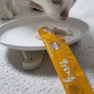 [무료배송] 똑똑한입 독 황태츄 스틱  맑음 (눈 장) 6P*10개 베스트 후기 이미지