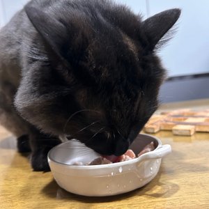 베스트 후기 이미지