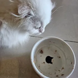 베스트 후기 이미지