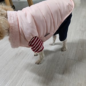 베스트 후기 이미지