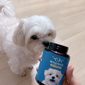 베스트 후기 이미지
