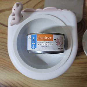 베스트 후기 이미지