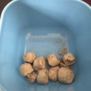 베스트 후기 이미지