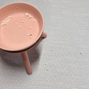 베스트 후기 이미지