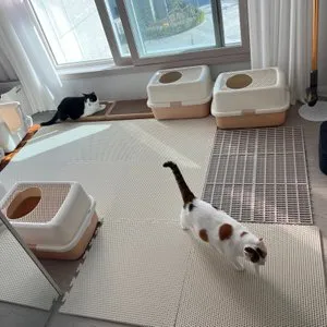 베스트 후기 이미지