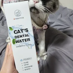 베스트 후기 이미지