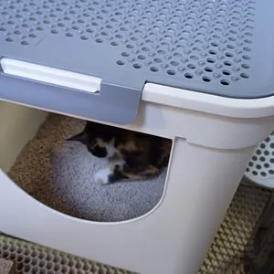 베스트 후기 이미지